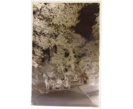 A COLLECTION OF PHOTOGRAPHIC PLATE NEGATIVES &amp; MAGIC LANTERN SLIDES topographical, portrait and other, various sizes, the