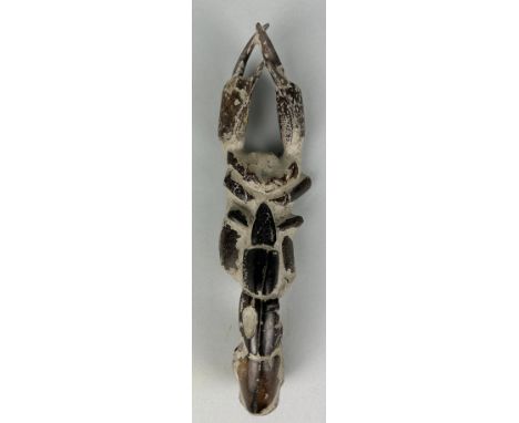 A FOSSILISED MUD LOBSTERA very large and scarce fossil mud lobster (thalassina). Eocene in age circa 58-36 million years old.