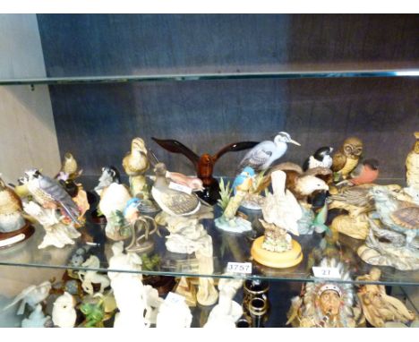 Shelf of ceramic and resin cast bird figures