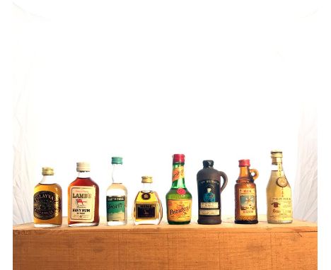 A collection of twenty five Miniatures including Whisky, Gin, Rum and other liqueurs.&nbsp;