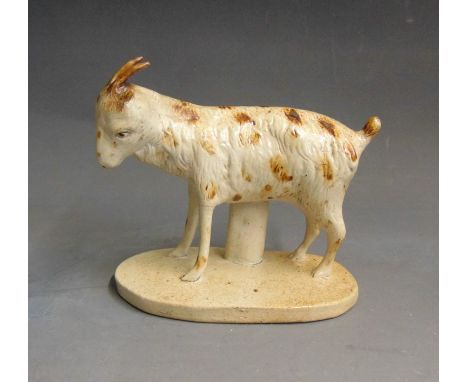 A Brampton saltglaze model of a goat standing on a  base, early 19th Century, 14cm wide, 11cm highCondition: front left leg r
