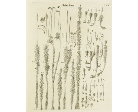 Botanik - - Johann Jacob Dillenius. Historia Muscorum, in qua circiter sexcentae species veteres et novae ad sua genera relat