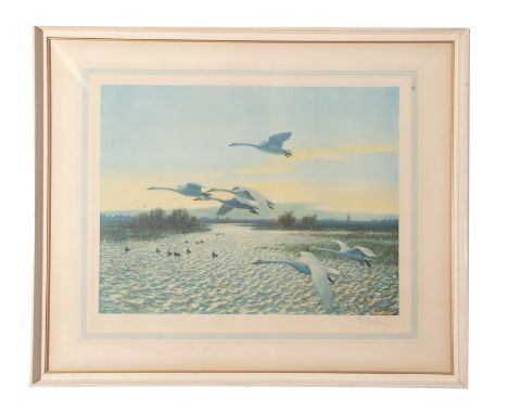 Peter Markham Scott, print, signed inn pencil to margin, Swans in Flight, 44 x 52cm