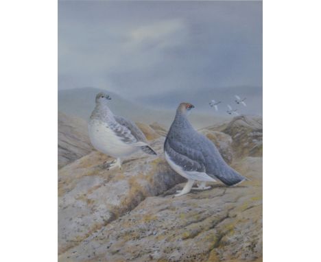 After R David Digby, Red Grouse, signed limited edition print, 39 x 29 cm; six others from the series published by Shooting T