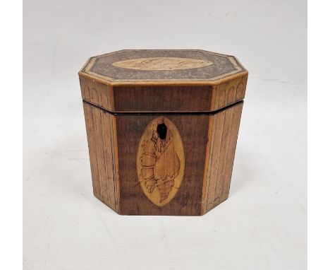 Georgian elongated octagonal tea caddy, variously veneered with boxwood and other stringing, with shell motif inlay to top an