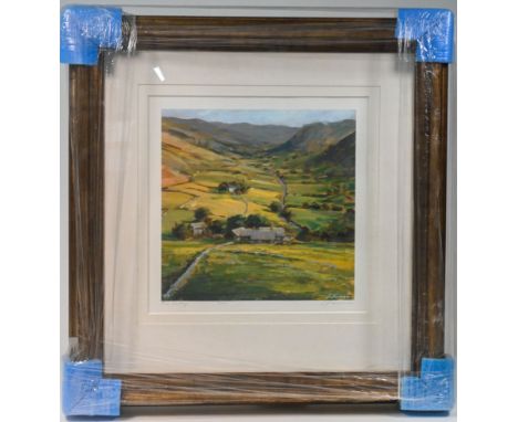 D.Farren, signed edition print titled 'The Valley' 8/195, mounted and framed, overall size 76cm x 70cm.