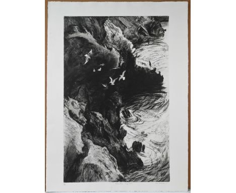 Kim Atkinson, Kittiwake, Ynys Eulli, signed limited edition print 13/15. (42cm x 65cm)This artwork is being sold on behalf of