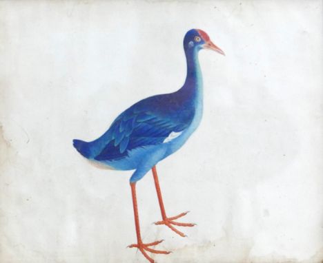 Chinese school (19th century): A purple water hen watercolour, unsigned, 26 by 32cm, glazed and in faux bamboo frame, 30 by 3