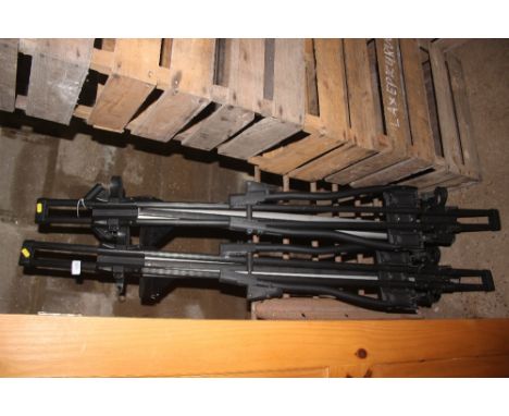 A pair of bike bars for a car