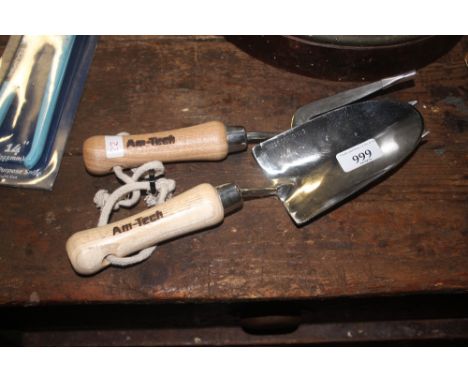 A hand trowel and fork (22)