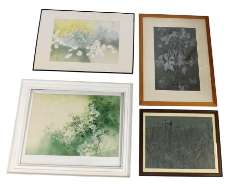 20thC School. Various botanical related works, predominantly watercolours.