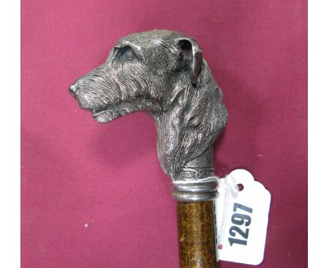 An Early XX Century Gentleman's Walking Stick, with white metal dog's head handle (Woolfhound?).