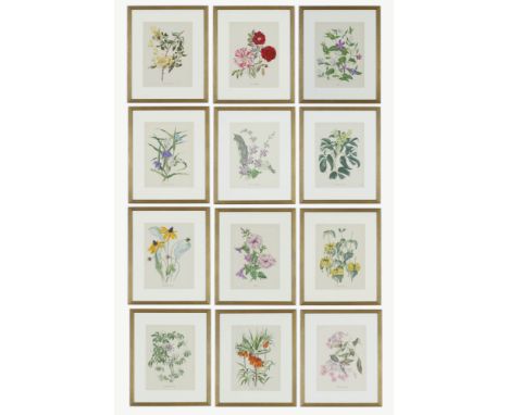 JOHN NASH (brother of Paul Nash), a set of twelve English Flowers, botanical lithographs 1948, printed by W.S Cowell, 28cm x 