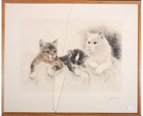 MEYER EBERHARDT (1895-1977) Little Kittens Colour etching, signed in pencil, 26cm x 36cm   CONDITION REPORT:  Glass damaged