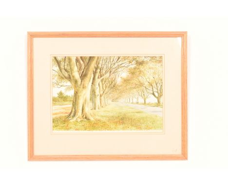 A Sheila Sanford (20th Century, American) on watercolour of a landscape, titled 'Avenue of Beeches,' signed in pencil lower r