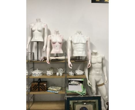3 HALF MANNEQUIN AND 1 MANNEQUIN