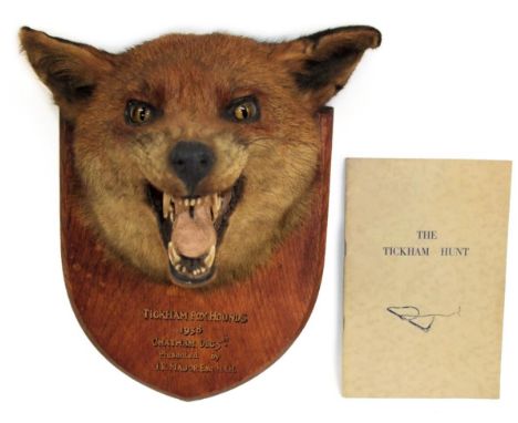 Taxidermy: Red Fox Mask (Vulpes vulpes), circa 1938, by Army &amp; Navy Stores, Naturalist Dept, London, S.W, adult fox mask 