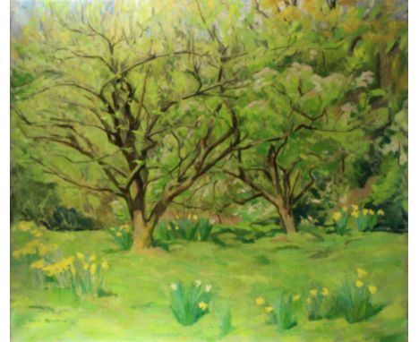 ***VIOLA PATERSON (1899-1981) - Oil painting - Daffodils amongst trees, signed and dated '56, canvas 26ins x 30ins, unframed