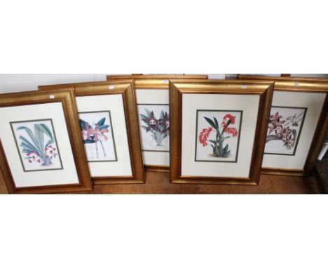 A set of five botanical prints in gilt frames and glazed