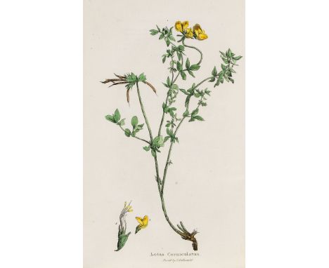 -. Jekyll (Gertrude) - Garden Ornament,  first edition , colour frontispiece, photographic illustrations, upper hinge splitti