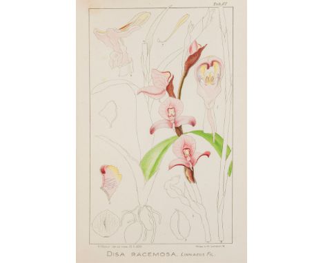 Orchids.- Boyle (Frederick) - About Orchids: A Chat, 1893 § Watson (W.) & W. Bean. Orchids: Their Culture and Management , se