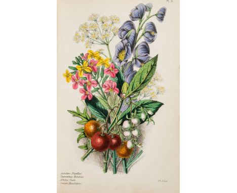 Trees & Shrubs.- Boutcher (William) - A Treatise on Forest-Trees...,  first edition , half-title, list of subscribers, foxed 