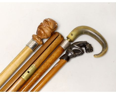 Four canes / walking sticks including a horse measuring stick and a military pace stick