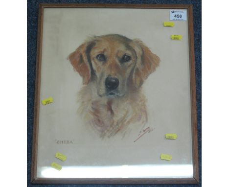 M. Gear, 'Sheba', study of a Golden Retriever, pastel drawing, signed and dated: 1965, framed and glazed.(B.P. 24% incl. VAT)