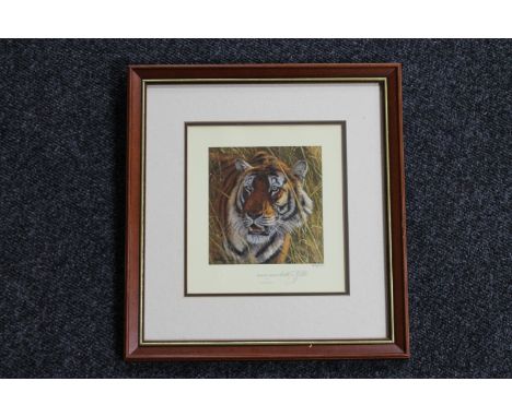 A framed Anthony Gibbs signed in pencil print, Bengal Tiger, number 496 of 1000 with embossed stamp 