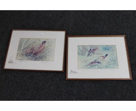 Two framed signed Keith Proctor prints - pheasants in grass and fox with pheasant, pencil sketches to mount