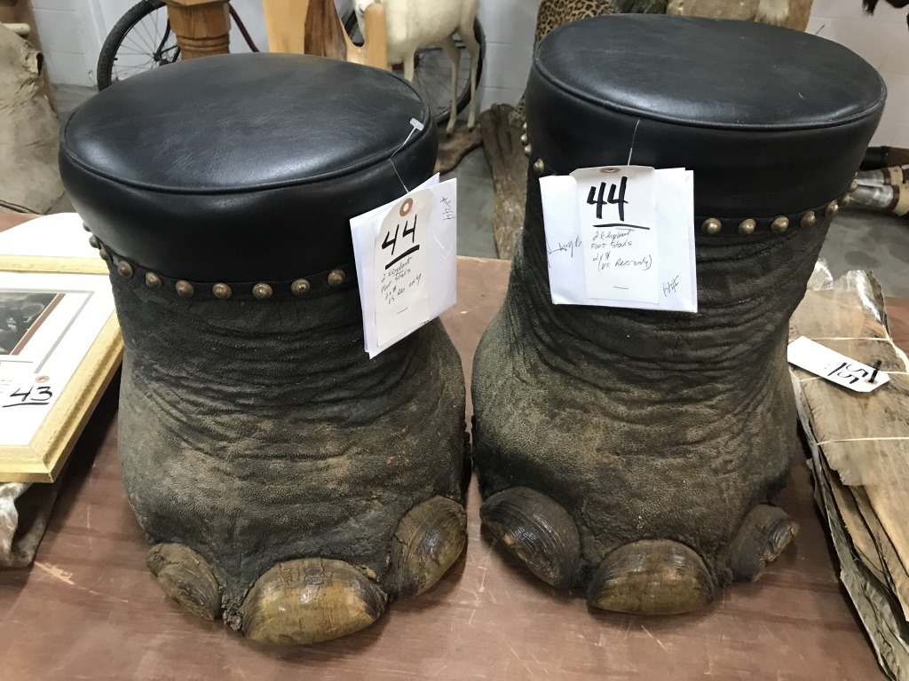 2 Elephant Foot Stools (2X) (US Res Only) (Taxidermy)