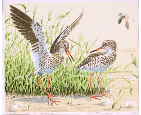 John Tennant, pencil signed limited edition print, "Red Shanks  in Spring", 11/95, dated 1975, 34cm x 40cm