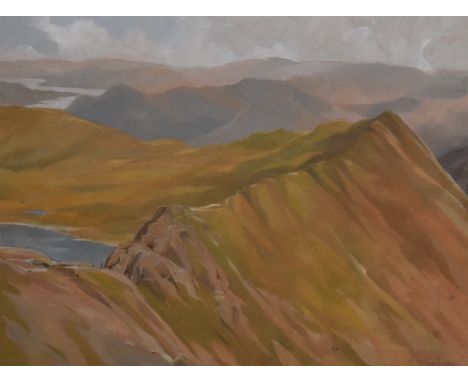 Local Interest* R Martin Tomlinson (British b.1945) oil on canvas 'Striding Edge' signed lower right, within a moulded frame,