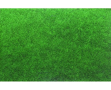‡ Andy Harper (b.1971) Grass painting 3 Signed and titled on backing board verso Oil on board, unframed 81 x 122cm Painted in