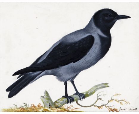 Johannes Bronkhorst (Dutch 1648-c.1726) Ducks and geese by the water; Study of a crow The second inscribed: Bouts Kraij (?) T