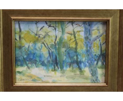 *Geraldine Girvan (b.1947) watercolour - Winter Light and Birches, signed, in glazed gilt frame, 13.5cm x 19.5cmProvenance: C