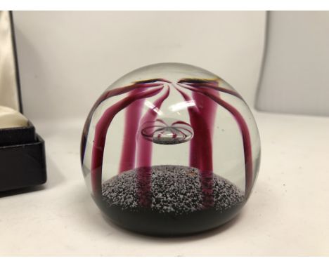 A boxed limited edition Caithness glass paperweight "Marooned", 323/3000.