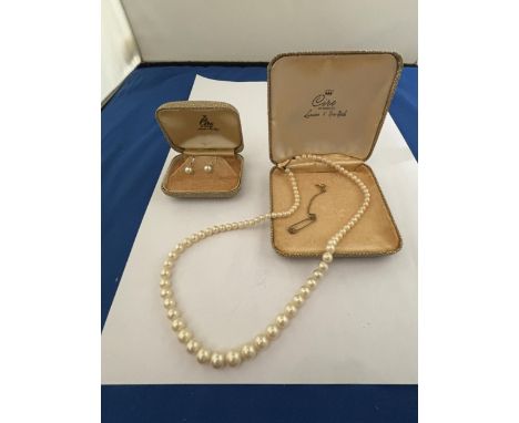 A CIRO OF BOND STREET LONDON AND NEW YORK STRING OF PEARLS WITH SFETY CLASP AND A PAIR OF PEARL EARRINGS IN PRESENTATION BOXE