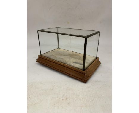 A VINTAGE GLASS DISPLAY CABINET 18 CM X 11 CM