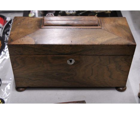 A REGENCY ROSEWOOD SARCOPHAGUS SHAPED TEA CADDY WITH HINGED LID ON BUN FEET