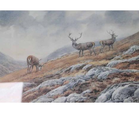 BRIAN RAWLING,
THREE STAGS ON THE HILL
limited edition colour lithograph, signed in the margin in pencil and numbered 241/300