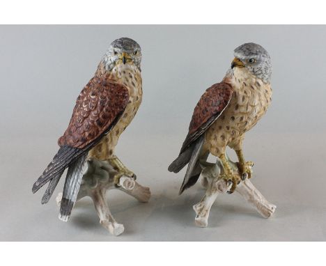 Goebel, two matt porcelain models of kestrels perched on a branch, 23cm