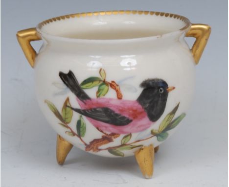 A Royal Worcester tripod cauldron, painted by John Hopewell with colourful finches, gilt dentil rim, angular lug handles, 6.4