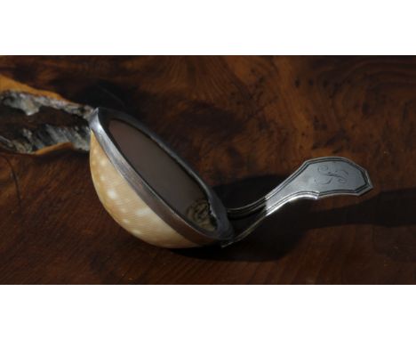 A George III silver mounted cowrie shell caddy spoon, 6.5cm long, maker's mark only, Matthew Linwood, Birmingham c.1805 