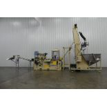 DESCO DCP-3 Linear Cap Printer