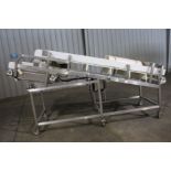 Frozen Block Conveyor, 34" wide, Item# bbwifrblcon-1, Located in: Cartersville, GA