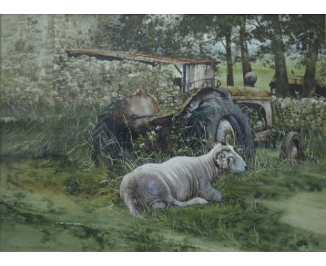 Neil Westwood - Ram before a tractor and barn, watercolour, signed lower left, 25 x 35 cm