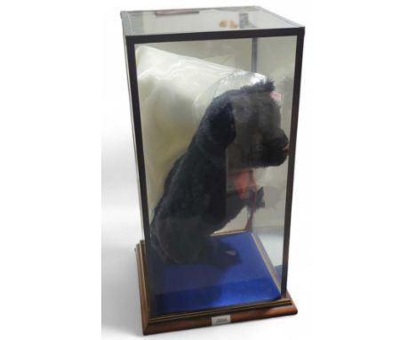A Steiff teddy bear, "Joshua", numbered 663208 and of 2009. Black fur and with red ribbon. Within custom case. Bear 33cm tall