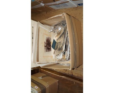 PHOTOGRAPHY: A large carton of 19th and 20th century photography, loose and with some material mounted on old album leaves, t