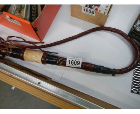An old horse whip.